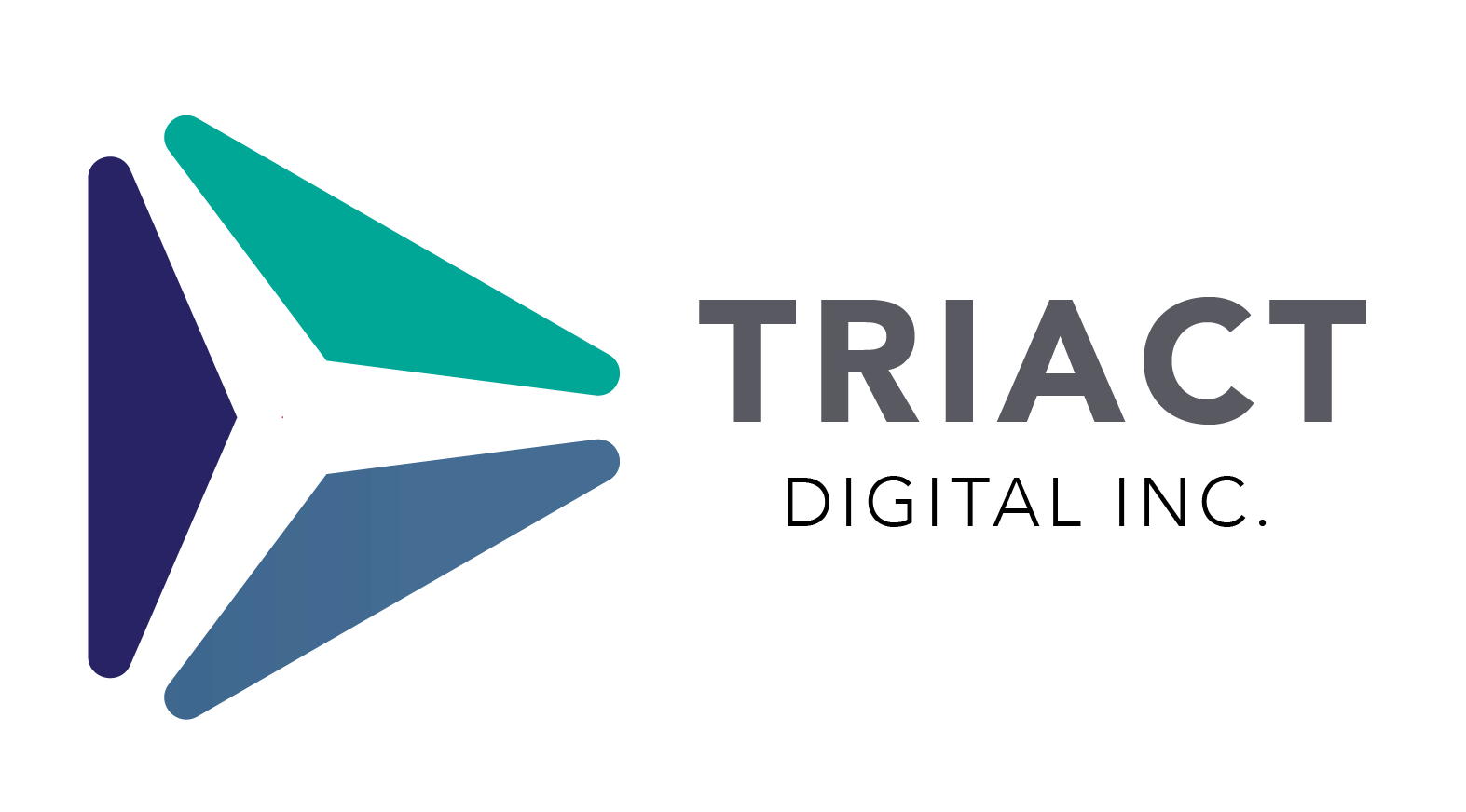 Triact Digital Inc - Logo
